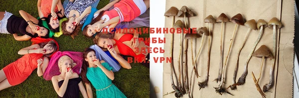 мдпв Елизово