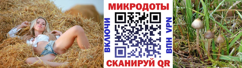 Купить  Светлогорск  Псилоцибиновые грибы Psilocybe 