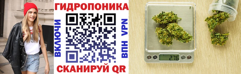 Купить закладки  Светлогорск  Бошки Шишки план 